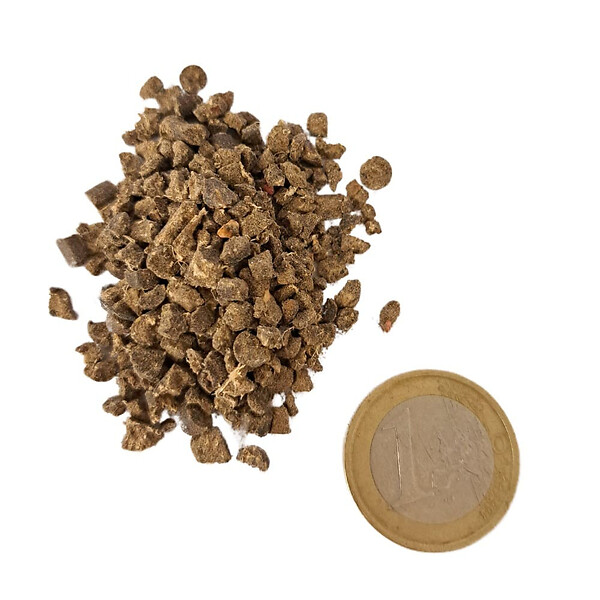 FLORIVERT - Engrais Flori Or KZ 20 kg améliore l'absorption des nutriments, pour sol scarifié - Florivert NEG01887 - large