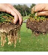 KIMITEC - Biostimulant racinaire Deep Root Pro 0,5 kg pour gazon, arbres, fleurs - Kimitec NEG00997 - vignette