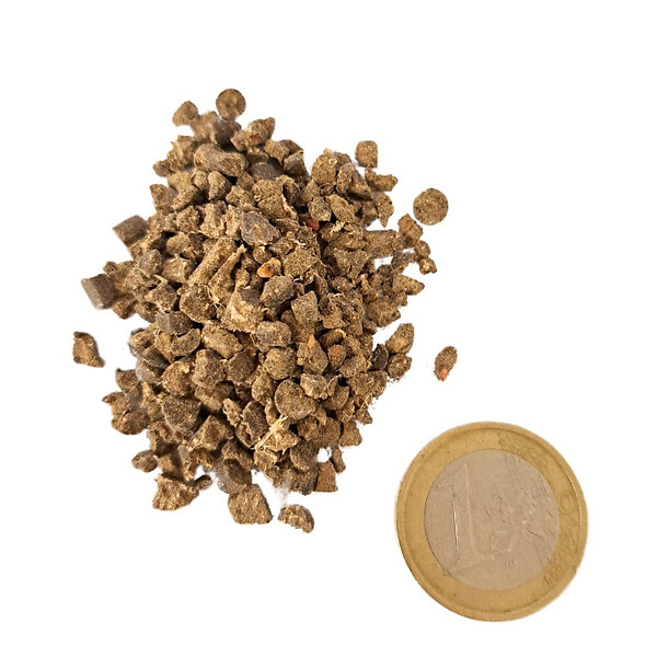 FLORIVERT - Engrais azoté Flori Or 11-2-3 20 kg favorise l'enracinement, pour sols vivants au printemps - Florivert NEG01888 - large