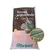 FLORIVERT - Terreau pour plantes vertes et fleurs Flori Horticole 70L, structure fine - Florivert NEG01644 - vignette