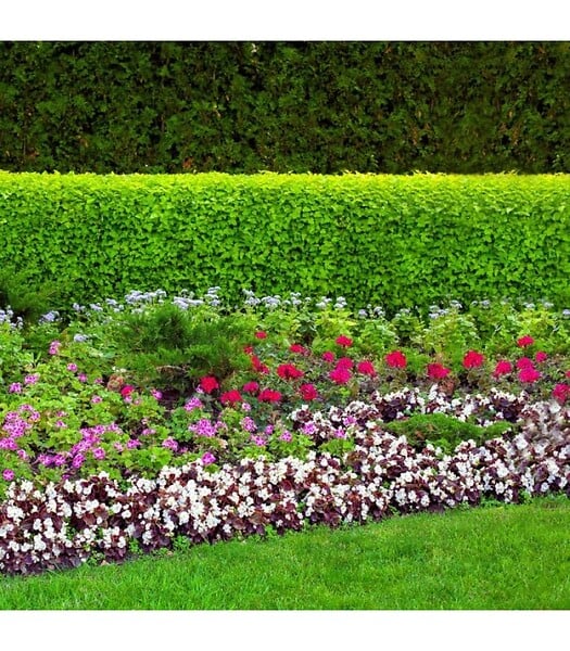 FLORIVERT - Terreau complet prêt à l'emploi Flori Fleurissement PAE 70L, idéal pour pots et balcon - Florivert NEG01617 - large