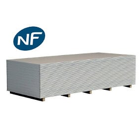 DRYPLAC - Plaque de plâtre BA13 standard - L.120xl.250xEp.13cm - large