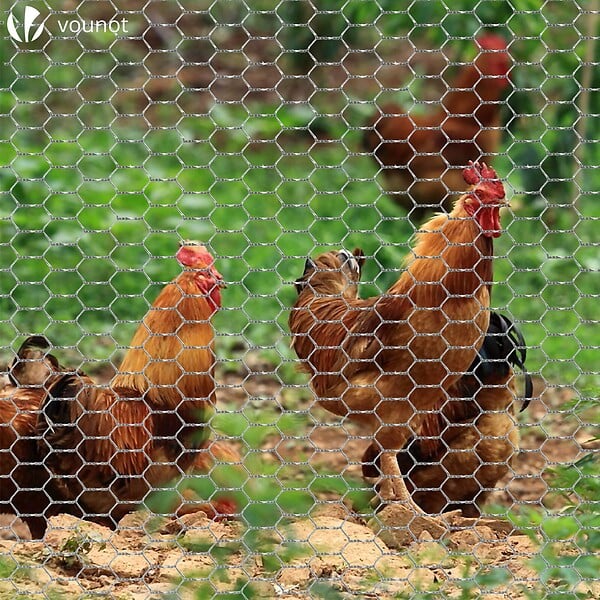 VOUNOT - Grillage a poule avec fils 13mm en acier galvanise 1x50M - large