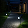 LUMI JARDIN - 2 Spots solaires projecteurs SPIKY Blanc froid 100LM - vignette