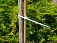 NATURE - Collier de fixation nylon transparent 15cm - lot de 25 - vignette