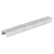 NEO TOOLS - Agrafes galvanisées pour agrafeuse pneumatique (14-572), GA21, Type 80 (380), 4000 pièces - NEO TOOLS - vignette