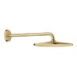 GROHE - Rainshower Mono 310 Ensemble douche de tête et bras 422 mm, 1 jet, cool sunrise brossé (G26558GN0) - vignette