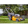 DEWALT - Tondeuse 48cm 18V DEWALT DCMW564P2-QW avec 2 batteries 5,0 Ah - vignette