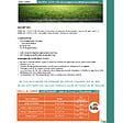 FLORIVERT - Engrais gazon au fer Flori NFer 12-0-0   6Fe 10L pour reverdissement des plantes - Florivert NEG00989 - vignette