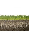 KIMITEC - Biostimulant racinaire Deep Root Pro 0,5 kg pour gazon, arbres, fleurs - Kimitec NEG00997 - vignette