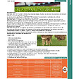KIMITEC - Biostimulant racinaire Deep Root Pro 0,5 kg pour gazon, arbres, fleurs - Kimitec NEG00997 - vignette