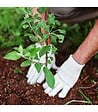 FLORIVERT - Substrat Flori Plantat. MYCOR100 70L enrichi en engrais, pour plantations et rétention d'eau - Florivert NEG01618 - vignette