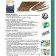 FLORIVERT - Engrais progressif Flori Or 7-0-12   2MgO   ABM 25 kg renforce le gazon et les végétaux - Florivert NEG00977 - vignette