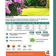 FLORIVERT - Semences gazon Terra Extrême 1 kg, faible besoin en eau et bel aspect - Florivert 1206451 - vignette