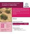 RACINE - Paillage mulch végétal plaquette forestière, x1 sac de 50 L - KOM24 - vignette