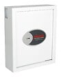 PHOENIX SAFE - Coffre Fort À Clés Cygnus Ks0032k - vignette