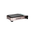 ALPENTECH - Barbecue grill Plancha gaz 2100W Piezo Haute Qualité + Mallette de transport ALPEN - vignette