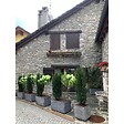 ARTPLAST - Jardinière Extérieure Grise Anthracite 100L 80x40cm - Pot de Fleurs Rectangulaire en Plastique Recyclé - Design Italien ARTPLAST - vignette