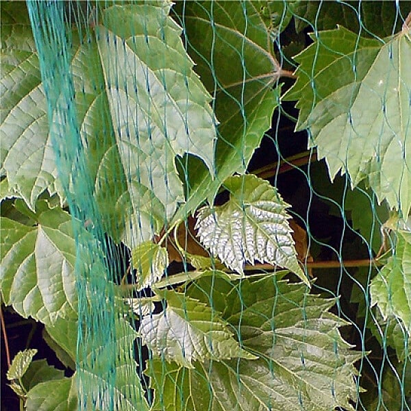 GT GARDEN - Filet anti-oiseaux, maille de 19 mm, longueur 4 x 10 mètres - large