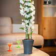 GT GARDEN - Lot de 3 pots pour orchidées avec réserve d'eau - Dali-dea gris foncé 2 litres - vignette