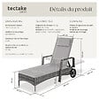 TECTAKE - Bain de soleil métal 6 positions avec roulettes gris/gris clair - vignette