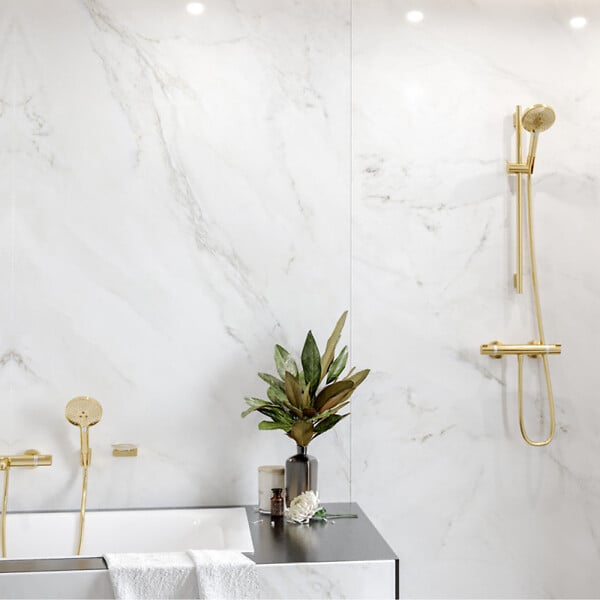 HANSGROHE - Pommeau de douche HANSGROHE Raindance Select S EcoSmart 120 3 jets aspect doré poli + flexible de douche HANSGROHE Designflex 160 cm doré poli - large