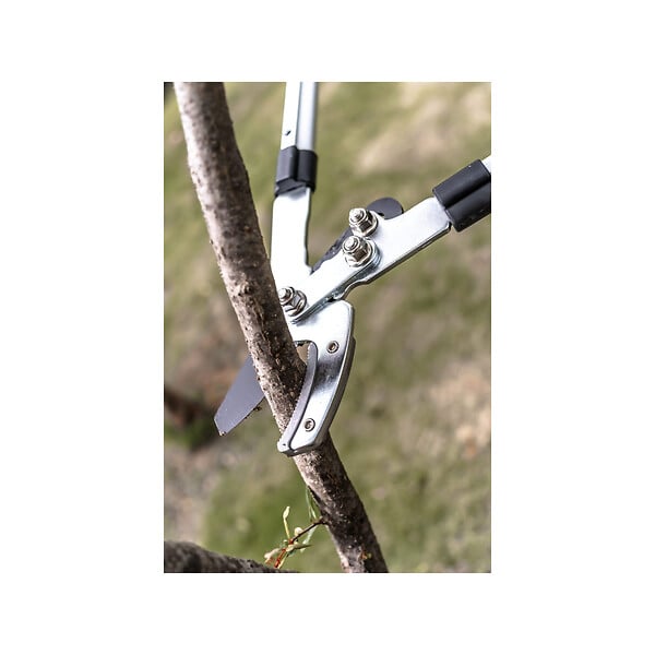 SUAN - Coupe branche lame enclume - Manche télescopique - Dimensions : 88,5 x 30,5 x 3 cm - large