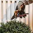BLACK+DECKER - Sécateur de jardin Lame en Acier Trempé 20.3cm - Ciseaux de Jardin Coupe 13mm Plantes, Haies et Fleurs  Black&Decker - vignette