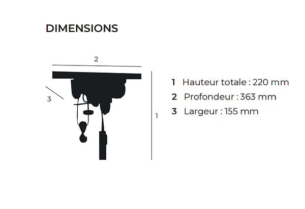 PRAMAC - Palan électrique - Capacité de levage 250 / 500 kg - TOOL FRANCE - 991G - large