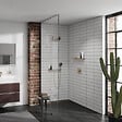 HANSGROHE - Pommeau de douche Pulsify Select EcoSmart 105 3 jets relaxation + Flexible 160 cm Isiflex Bronze brossé - vignette