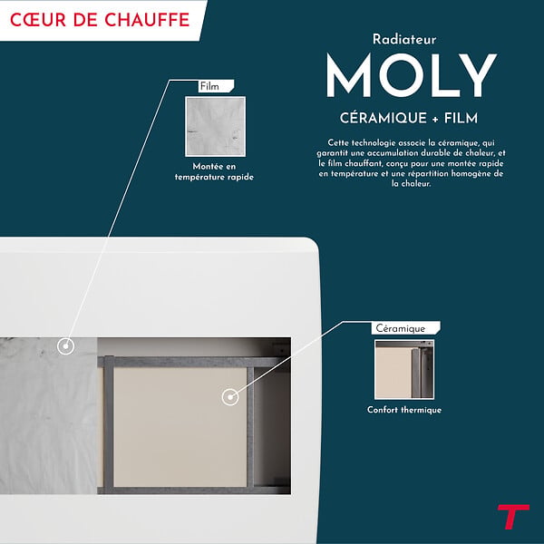 THOMSON - Radiateur électrique fixe inertie sèche - Double cœur de chauffe - THOMSON - MOLY 1000W - Connecté WiFi - horizontal blanc - NF - large