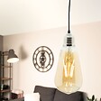 ZENITECH - Lot de 2 ampoules déco filament LED ambrée 4W E27 - Elexity - vignette