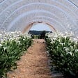 RIBIMEX - Bâche de protection 4x10 m 160 g/m2 - vignette