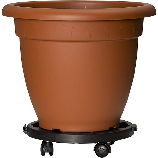 ARTPLAST - Support Plante Rond 30x7cm - Plateau à Roulettes Porte Pot de Fleurs Charge Lourde 170kg - Polypropylène antichoc Art Plast - large