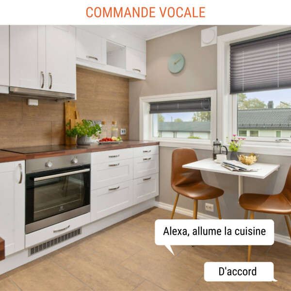 KONYKS - Interrupteur variateur + rétroéclairage Concierge Versailles - Konyks - large