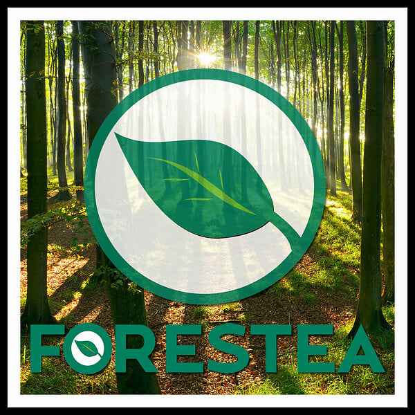 FORESTEA - Sol stratifié effet parquet â€“ 8 mm â€“ boîte de 9 lames - 2,49 m2 â€“ EH VILLA GRANDE K063 ORGANIC OAK - large