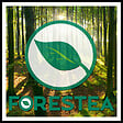 FORESTEA - Sol stratifié effet parquet â€“ 8 mm â€“ boîte de 9 lames - 2,49 m2 â€“ EH VILLA GRANDE K063 ORGANIC OAK - vignette