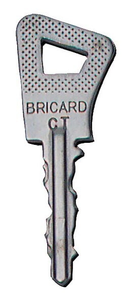 BRICARD - Cylindre monobloc ovoïde BLOCTOUT 33x33mm inox - BRICARD - 4260028 - large