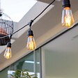 LUMISKY - Guirlande connectable MAFY 40 ampoules E27 18M - vignette