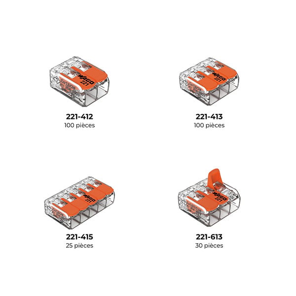 WAGO - L-BOXX® Mini 255 bornes WAGO 221 4 & 6mm² - large