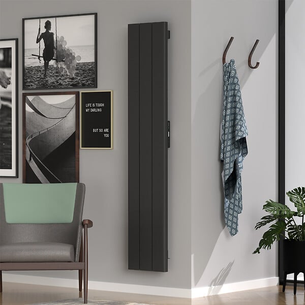ROINTE - Radiateur PALAOS connecté 3 éléments 1500W Anthracite - ROINTE - PIB1500WF - large