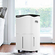 ROINTE - Déshumidificateur mobile DRYPURE PRO 40L - ROINTE - DHPN40 - vignette