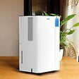ROINTE - Déshumidificateur mobile DRYPURE 12L - ROINTE - DHDN12 - vignette