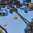 LUMISKY - Guirlande solaire NATURA HYBRID 10 ampoules 8M - vignette