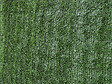 HABITAT ET JARDIN - Haie artificielle - 100 x 300 cm - vignette