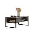 HABITAT ET JARDIN - Table basse en bois "ML34" - 100 x 59 x 44 cm - Argent - vignette