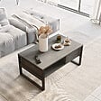 HABITAT ET JARDIN - Table basse en bois "ML34" - 100 x 59 x 44 cm - Argent - vignette