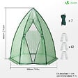 VOUNOT - Serre de jardin hivernage dome avec bache PE 160x160x180cm Vert - vignette