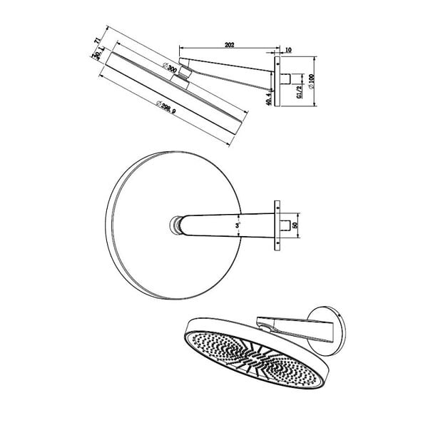 SWISS AQUA TECHNOLOGIES - Douche de tête mural 1 jet avec bras de douche, diamètre 30 cm, noir mat (SATBSHS81SETC) - large