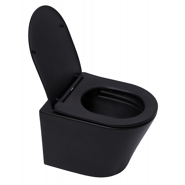GEBERIT - Pack WC bati-support Geberit + WC sans bride Swiss Aqua Technologies + abattant frein de chute + plaque (BLINFIGEB10) - large